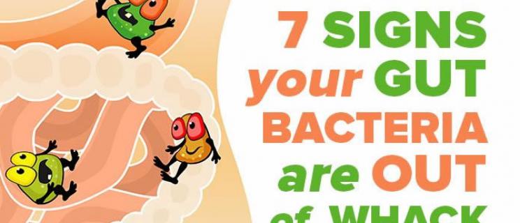 What happens if my gut has low levels of friendly bacteria?