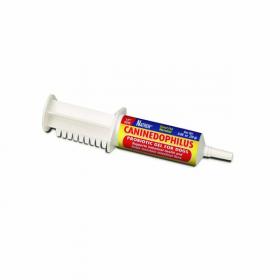 Natren CanineDophilus (20ml) probiotic syringe for dogs .  