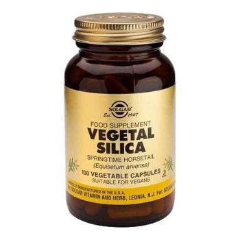 Solgar Vegetal Silica Vegetable Capsules 100 capsules